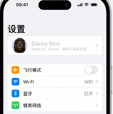 林口appleID维修服务iPhone设置中Apple ID显示为灰色无法使用