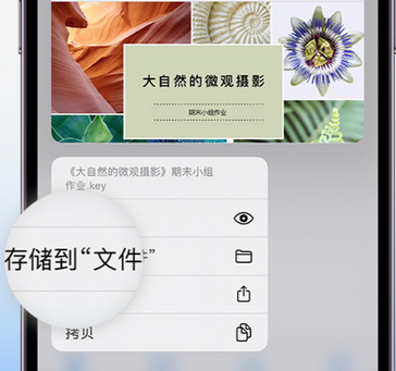 林口apple维修中心分享iPhone文件应用中存储和找到下载文件