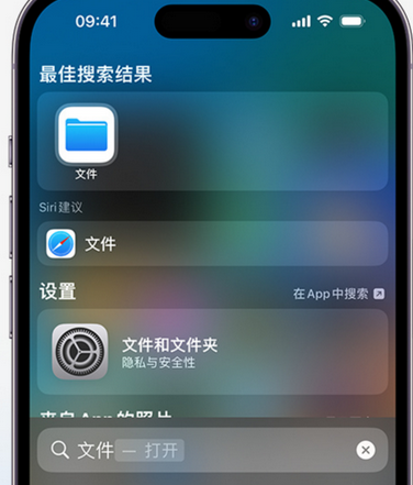 林口apple维修中心分享iPhone文件应用中存储和找到下载文件 