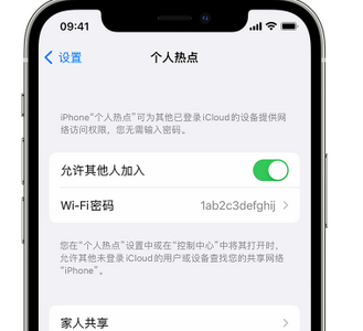 林口apple服务站点分享iPhone上个人热点丢失了怎么办 