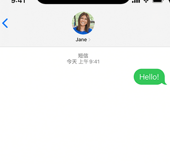 林口apple维修iPhone上无法正常发送iMessage信息