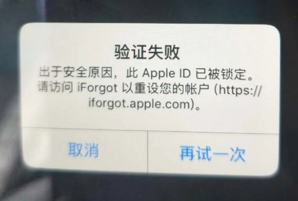 林口iPhone维修分享iPhone上正常登录或使用AppleID怎么办 