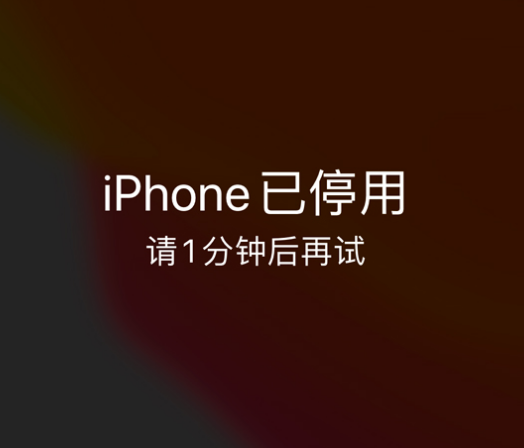 林口苹果手机维修分享:iPhone 显示“不可用”或“已停用”怎么办？还能保留数据吗？ 