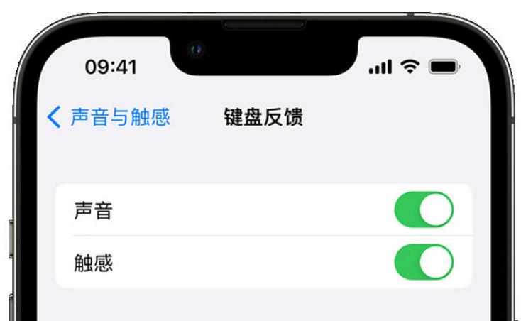 林口苹果手机维修分享iPhone 14触感键盘使用方法 