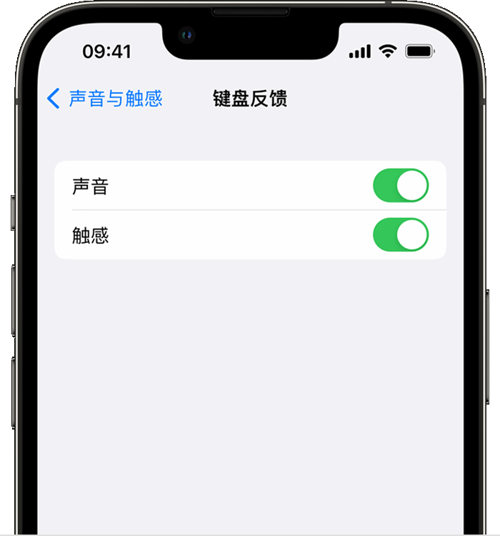 林口苹果14维修店分享如何在 iPhone 14 机型中使用触感键盘 