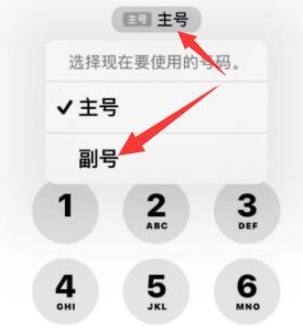 林口苹果14维修店分享iPhone 14 Pro Max使用副卡打电话的方法 