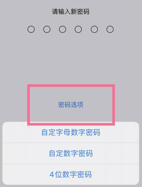 林口苹果14维修分享iPhone 14plus设置密码的方法 