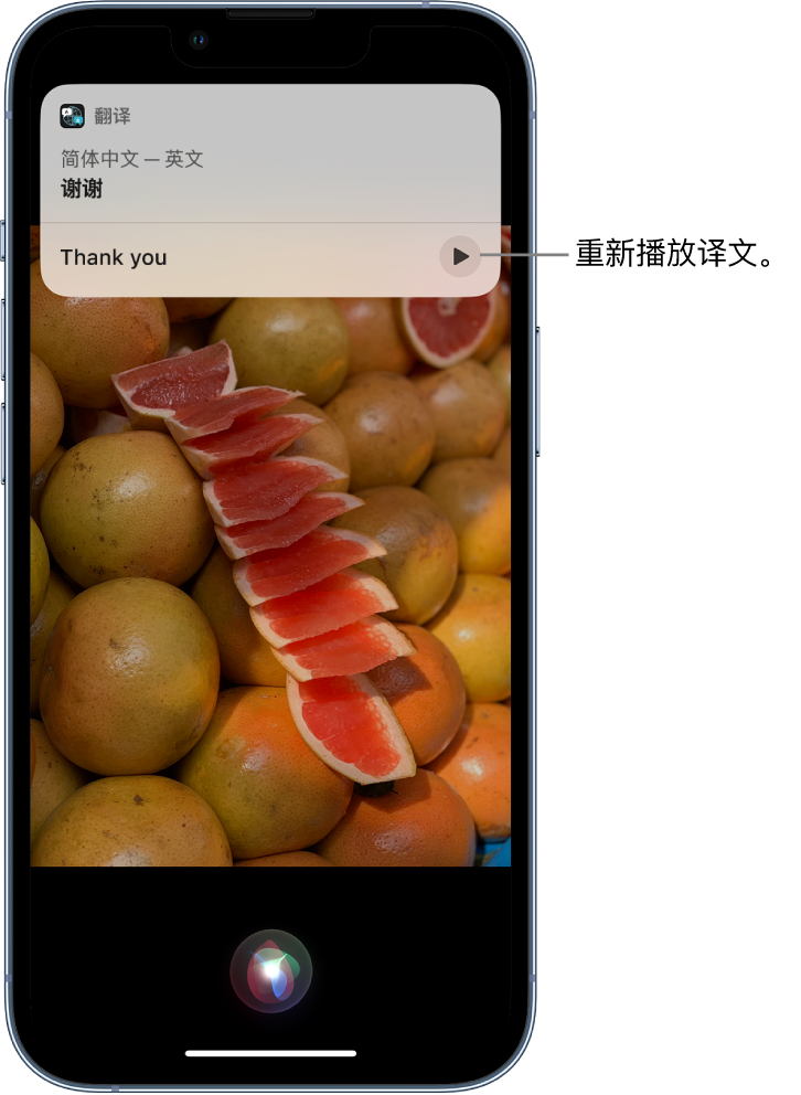 林口苹果14维修分享 iPhone 14 机型中使用 Siri：了解 Siri 能帮你做什么 