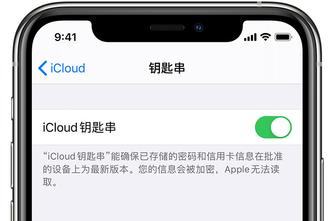 林口苹果手机维修分享在 iPhone 上开启 iCloud 钥匙串之后会储存哪些信息 