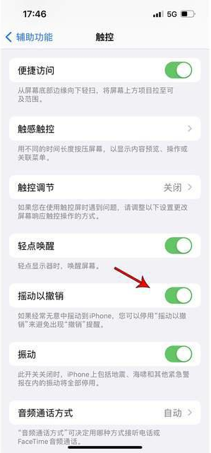 林口苹果手机维修分享iPhone手机如何设置摇一摇删除文字 