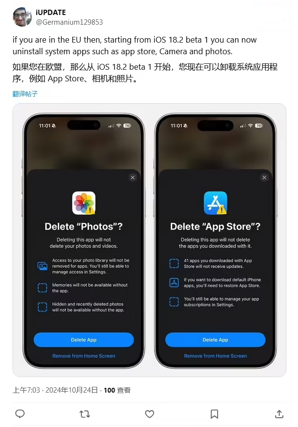 林口苹果手机维修分享iOS 18.2 支持删除 App Store 应用商店 