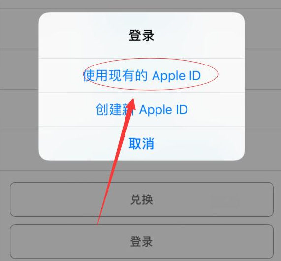 林口苹果手机维修分享两台iPhone设备可以同时登录一个Apple ID吗 