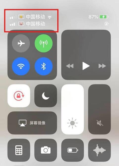 林口苹果手机维修分享为 iPhone 12 双卡设置标签 